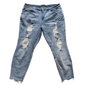 Judy Blue Los Angeles 22W distressed light blue jean skinny fit JB8814